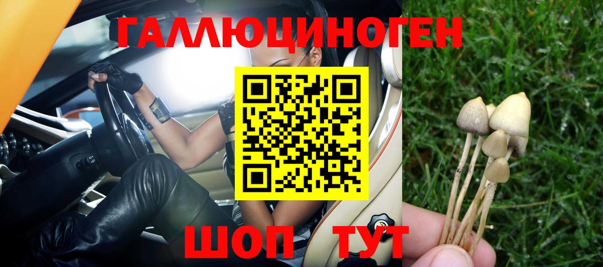 где продают   Псилоцибиновые грибы MAGIC MUSHROOMS  Вход с VPN  Кузнецк 